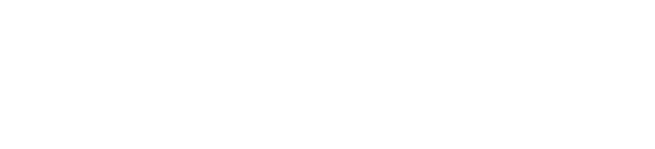 datahub_logo_white
